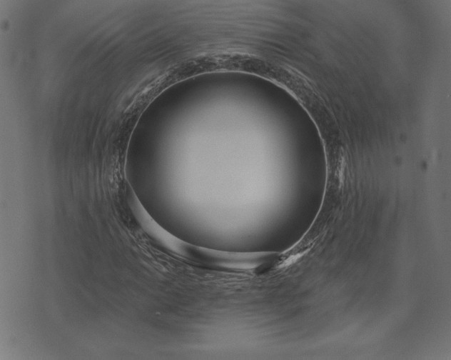 X0000073871014200608171002