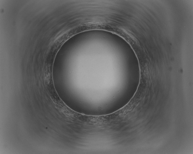 X0000073871015200608171002