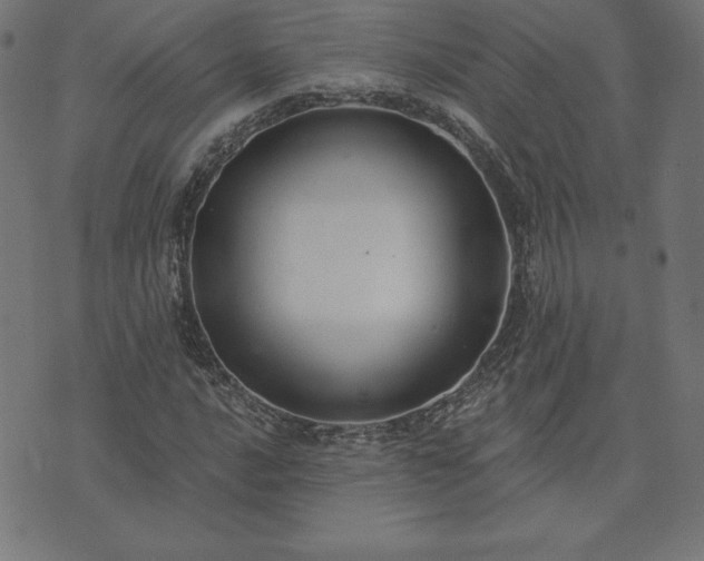 X0000073871016200608171002