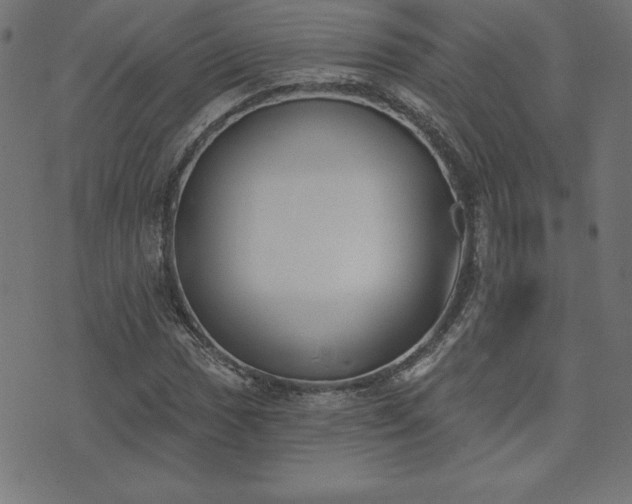 X0000073871017200608171002