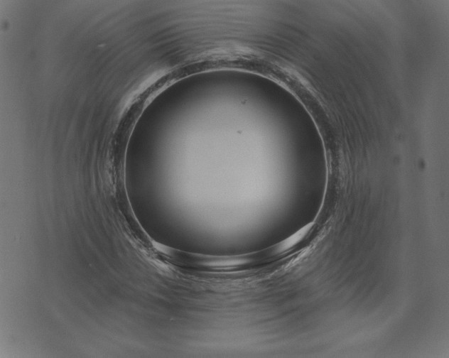 X0000073871018200608171002