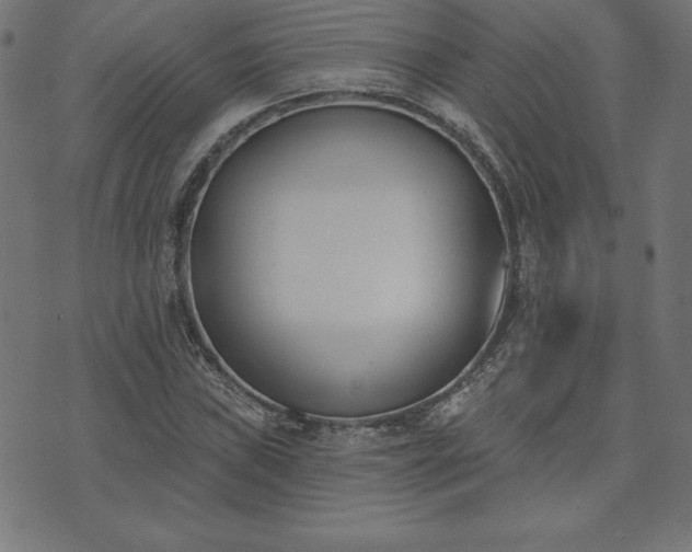 X0000073871019200608171002