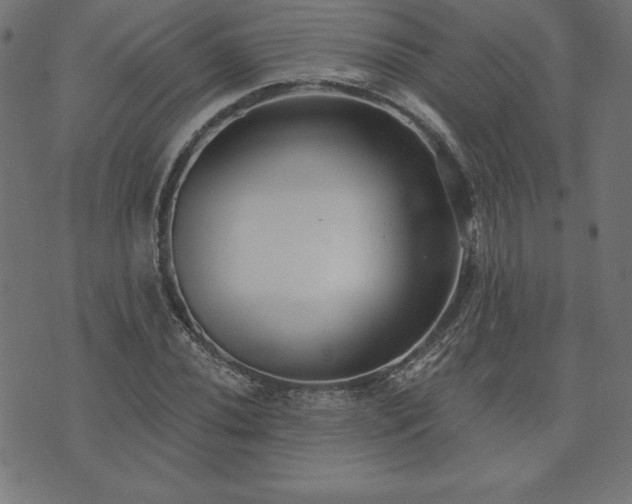 X0000073871020200608171002