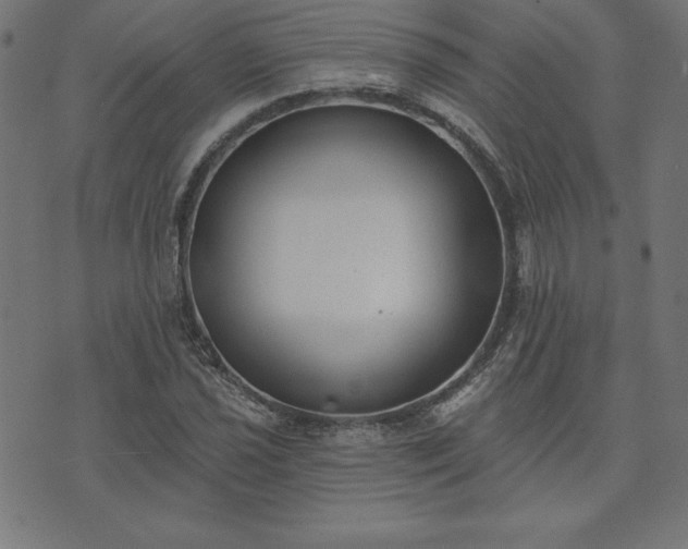 X0000073871021200608171002