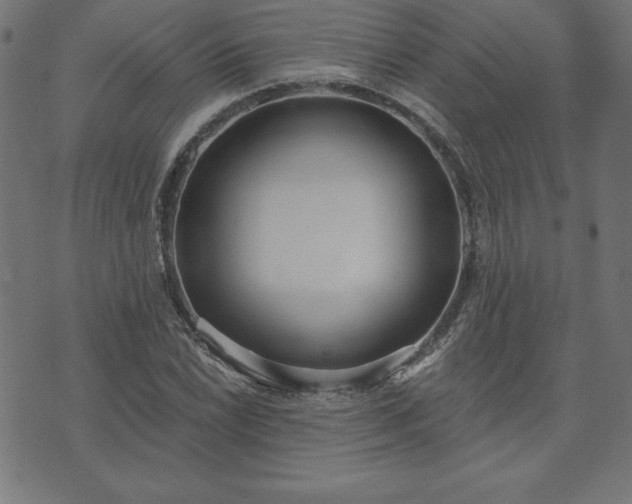 X0000073871022200608171002