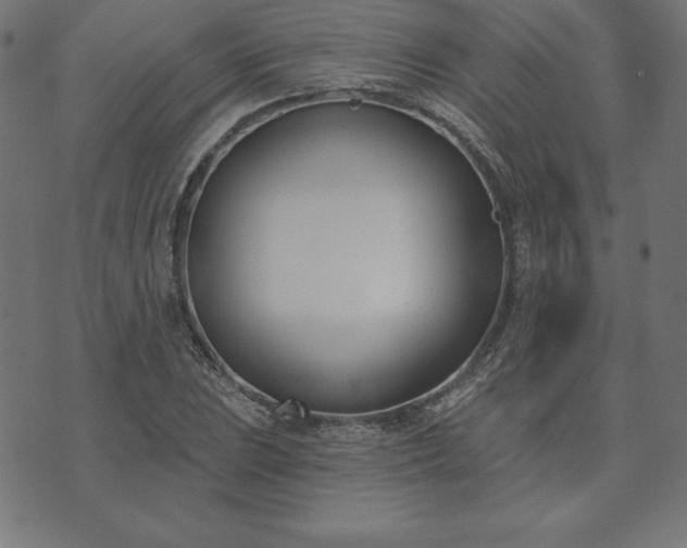 X0000073871023200608171002