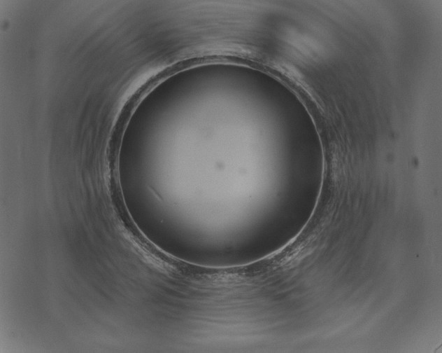 X0000073871024200608171002