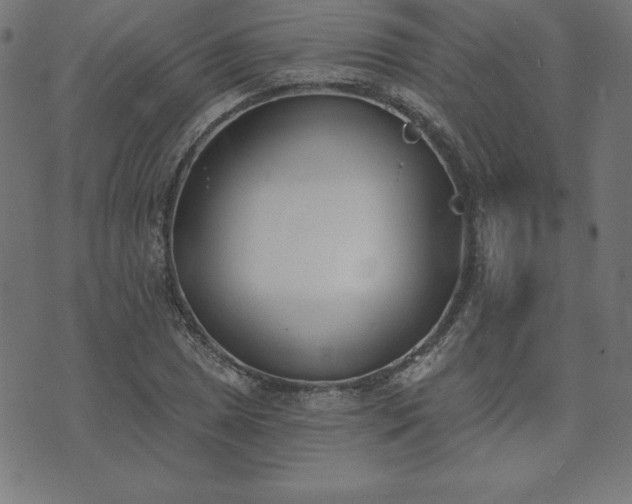 X0000073871025200608171002