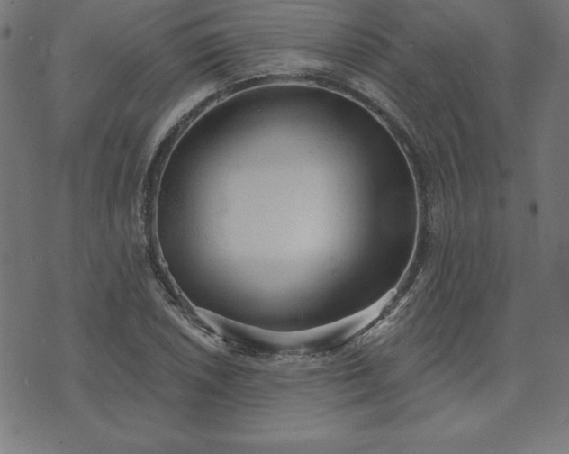 X0000073871026200608171002