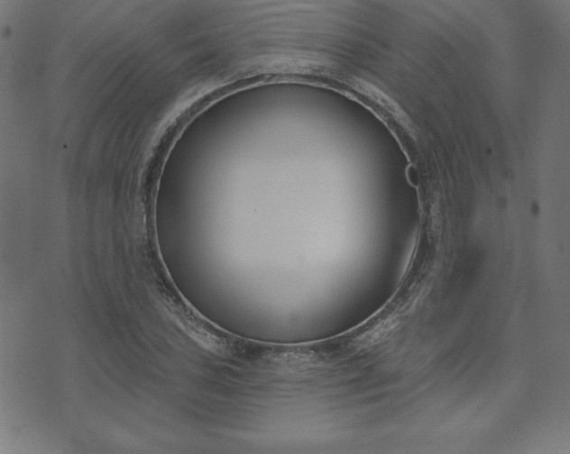 X0000073871027200608171002