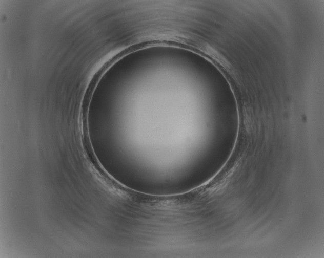 X0000073871028200608171002