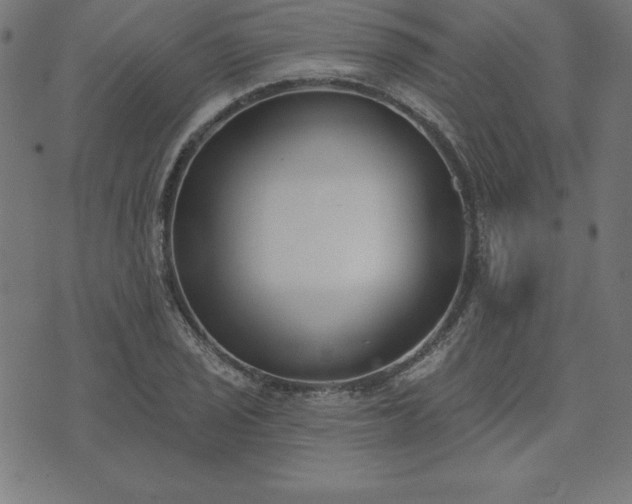 X0000073871029200608171002