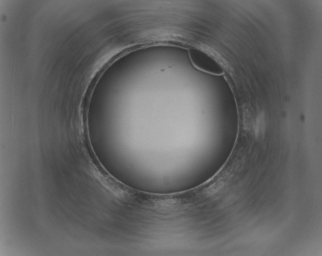 X0000073871031200608171002