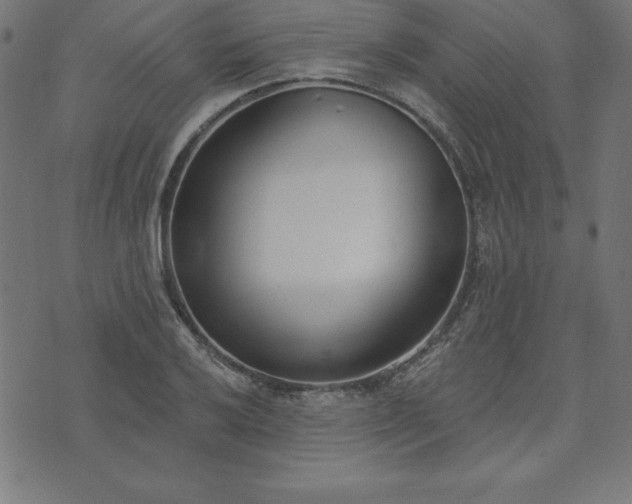 X0000073871032200608171002