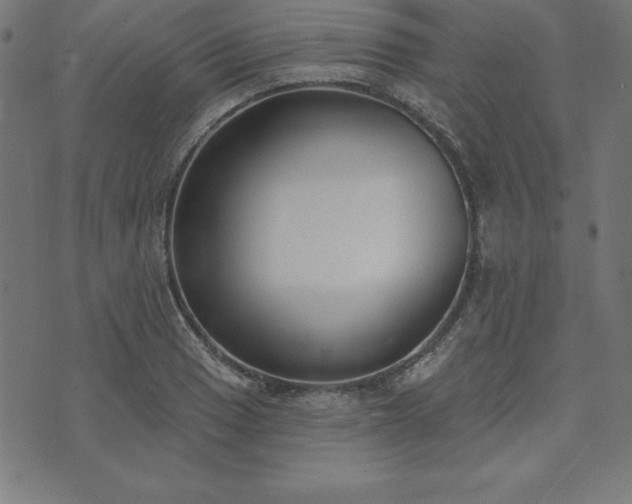 X0000073871033200608171002