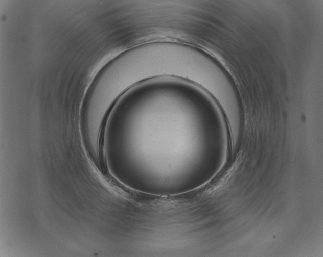 X0000073871034200608171002