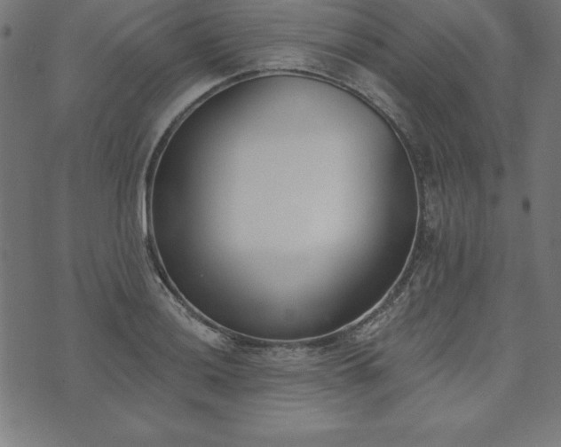 X0000073871036200608171002