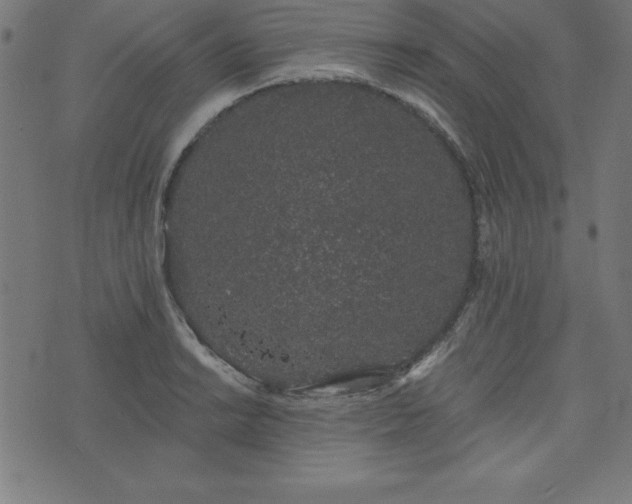 X0000073871038200608171002