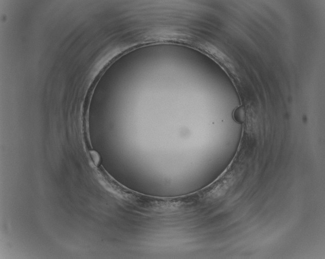 X0000073871039200608171002