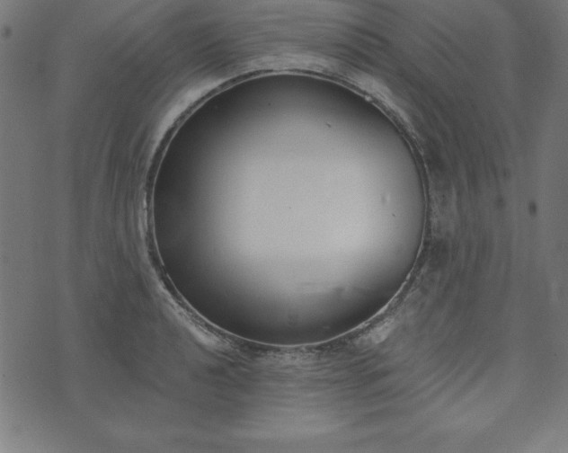 X0000073871040200608171002