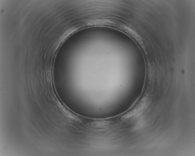 X0000073871041200608171002