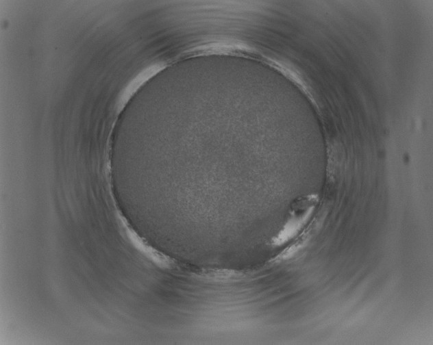 X0000073871042200608171002