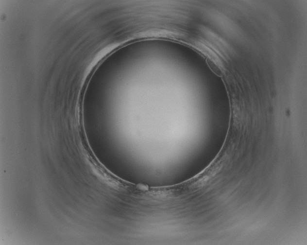 X0000073871044200608171002