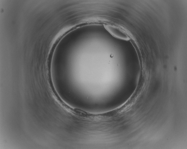 X0000073871045200608171002