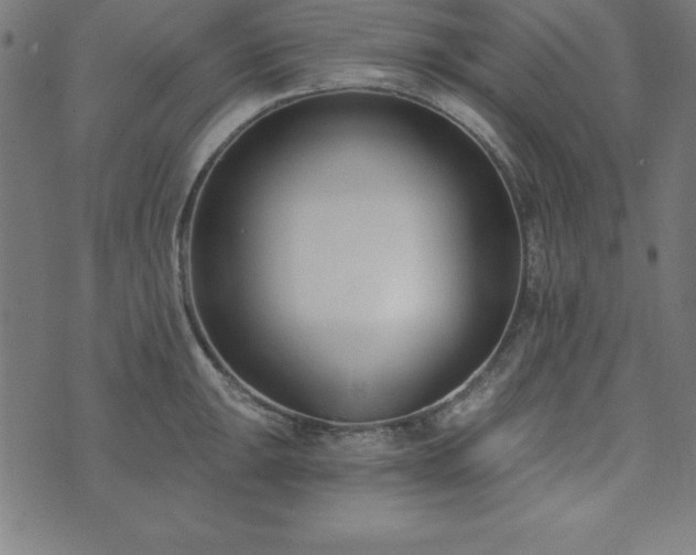 X0000073871047200608171002