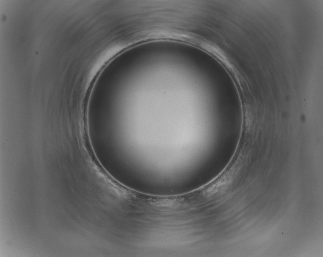 X0000073871048200608171002