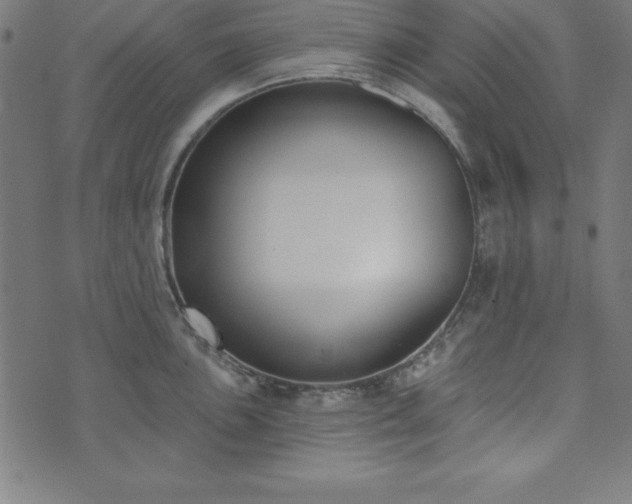 X0000073871051200608171002