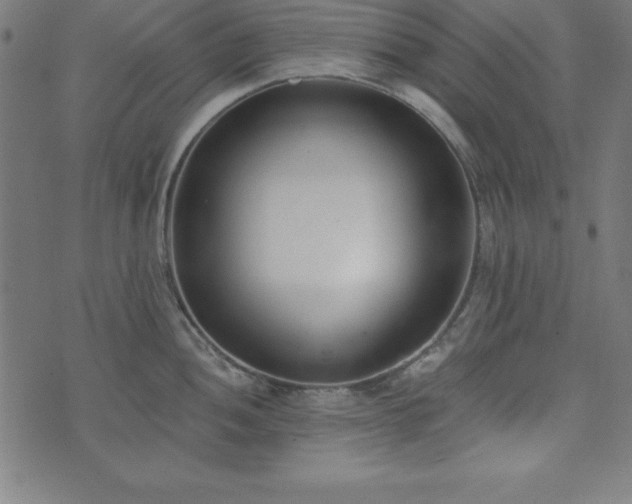 X0000073871052200608171002