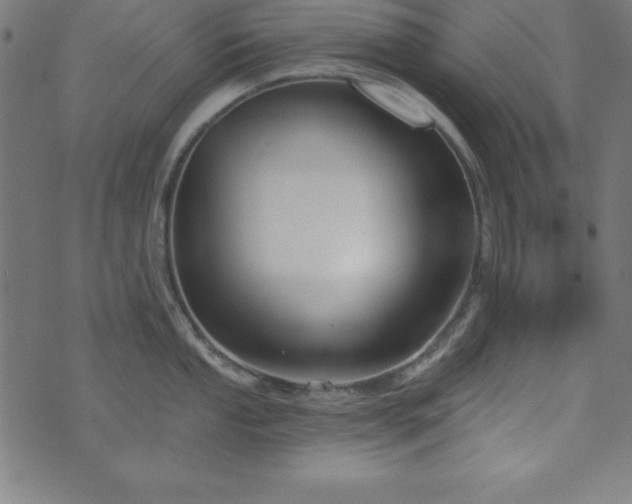 X0000073871053200608171002