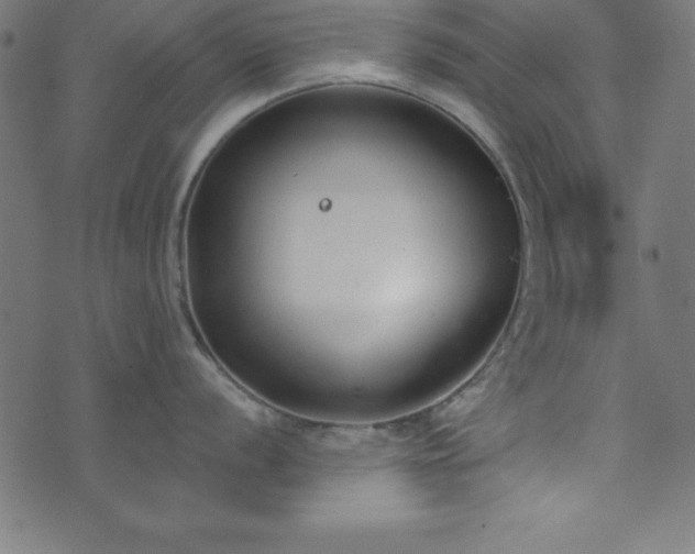 X0000073871056200608171002