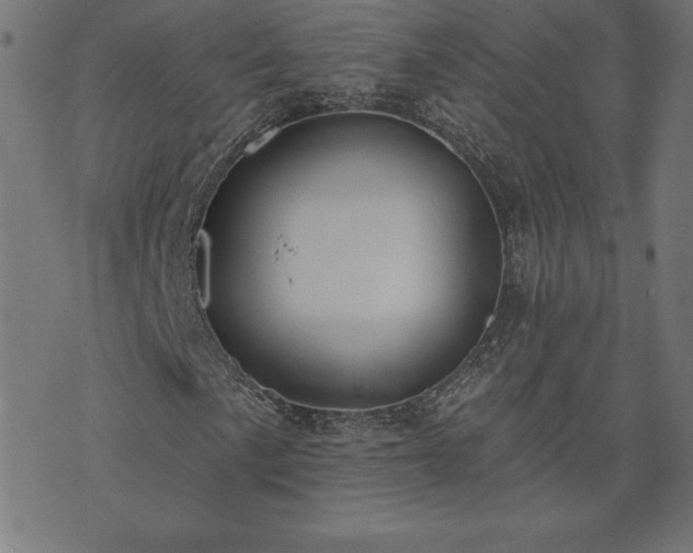 X0000073871057200608171002