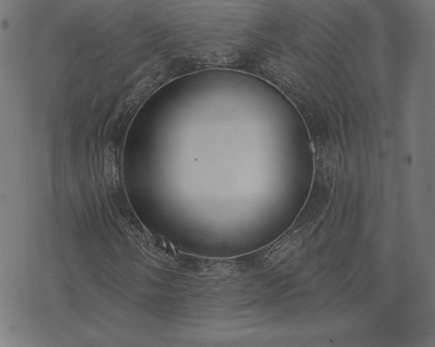 X0000073871058200608171002