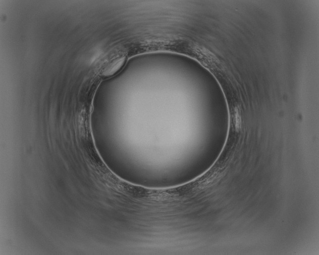 X0000073871059200608171002