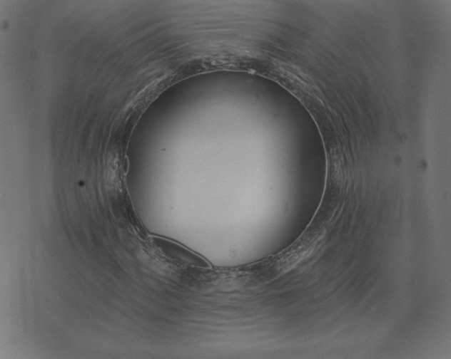 X0000073871060200608171002