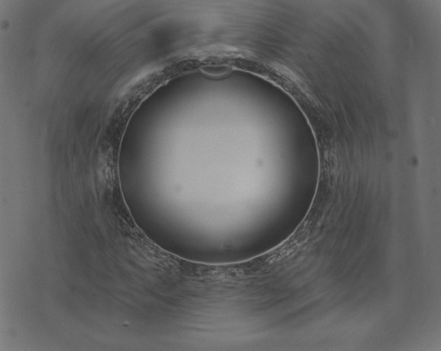 X0000073871063200608171002