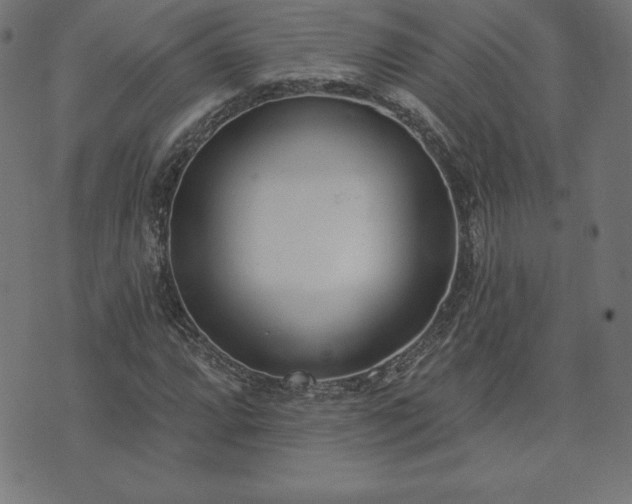 X0000073871064200608171002