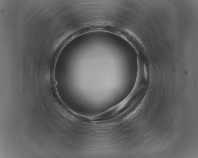 X0000073871065200608171002