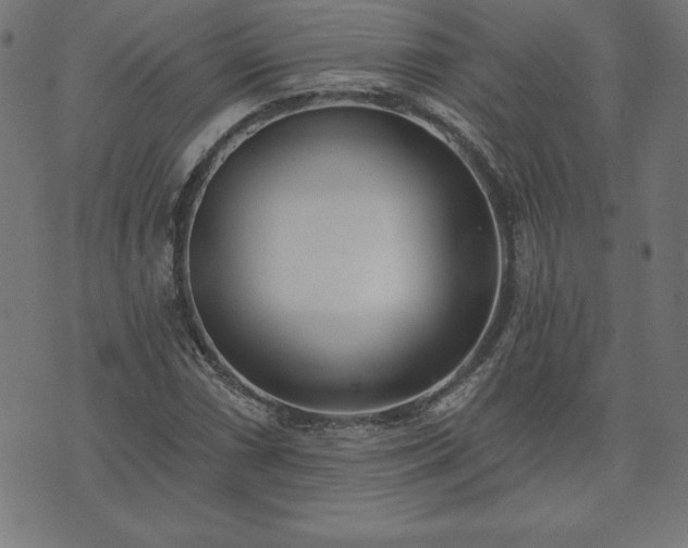 X0000073871066200608171002