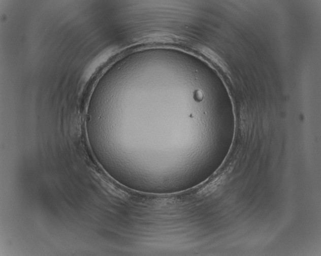 X0000073871067200608171002