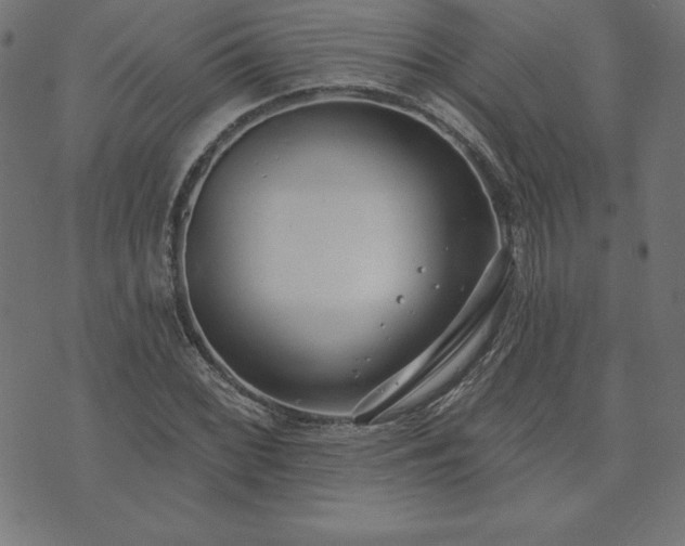 X0000073871068200608171002