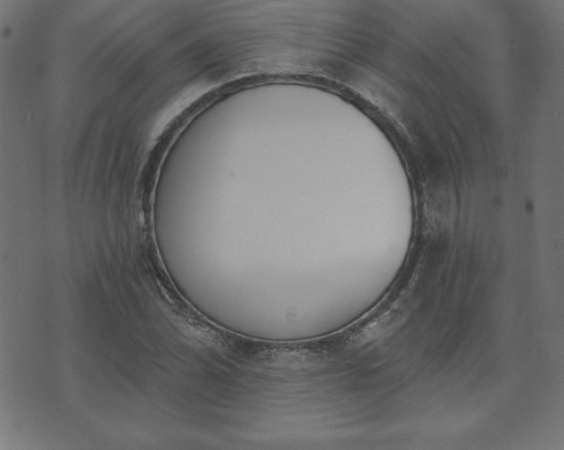 X0000073871070200608171001