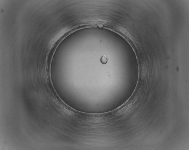 X0000073871071200608171001