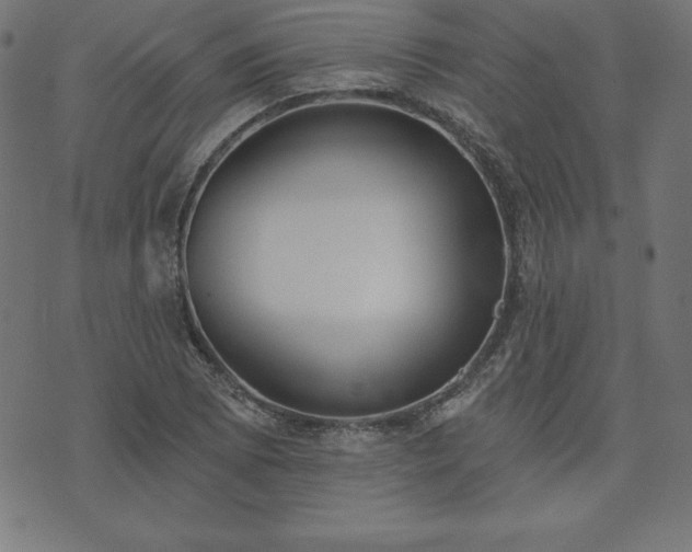 X0000073871073200608171001