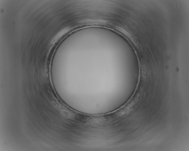 X0000073871074200608171001