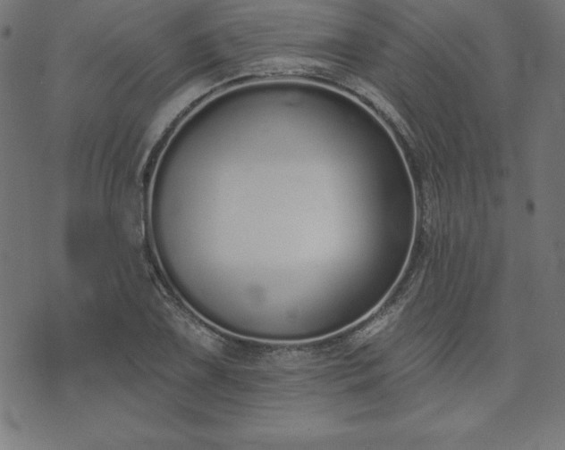 X0000073871075200608171001