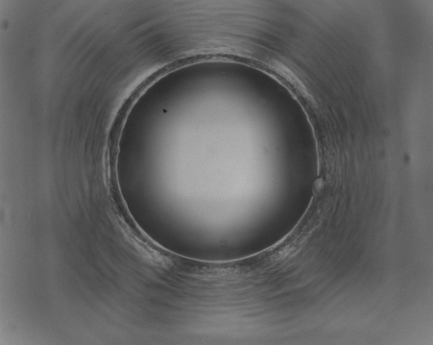 X0000073871076200608171001